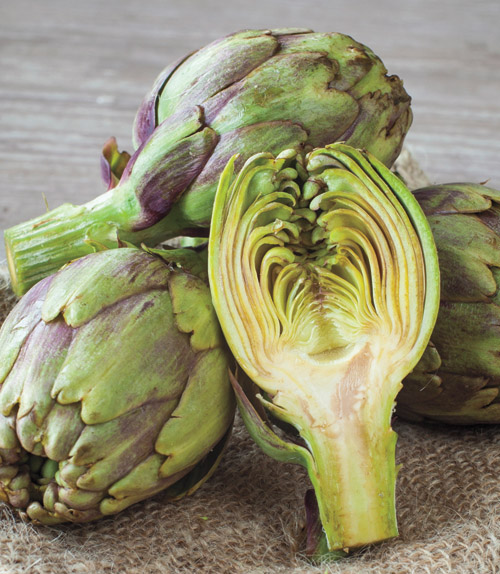 All About Artichokes