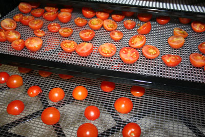 drying tomatoes